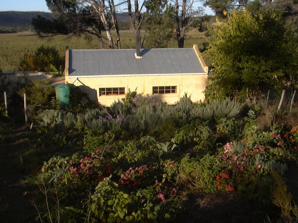 Bethany Farm Twee Riviere Exterior photo